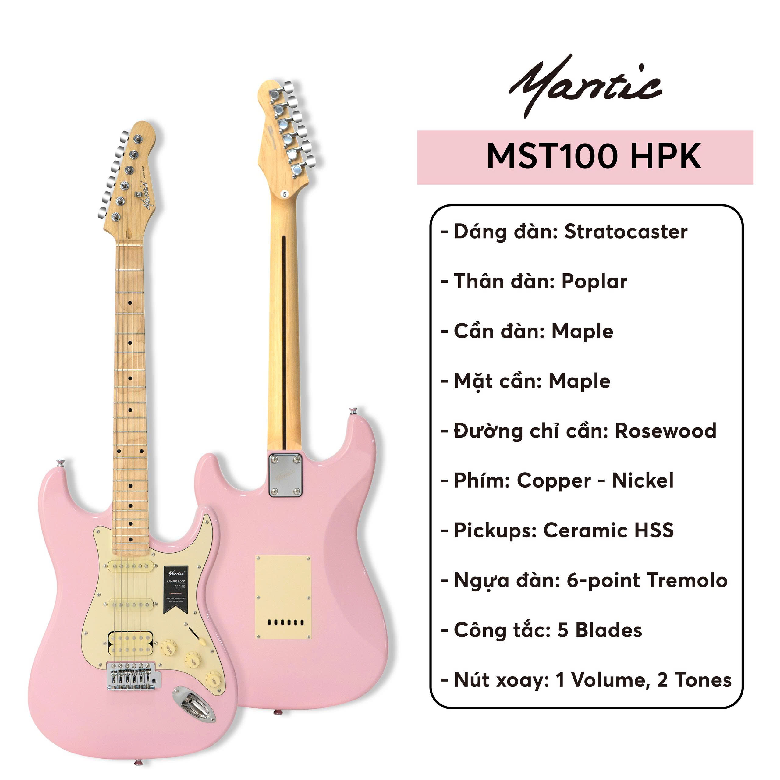 MST100 HPK
