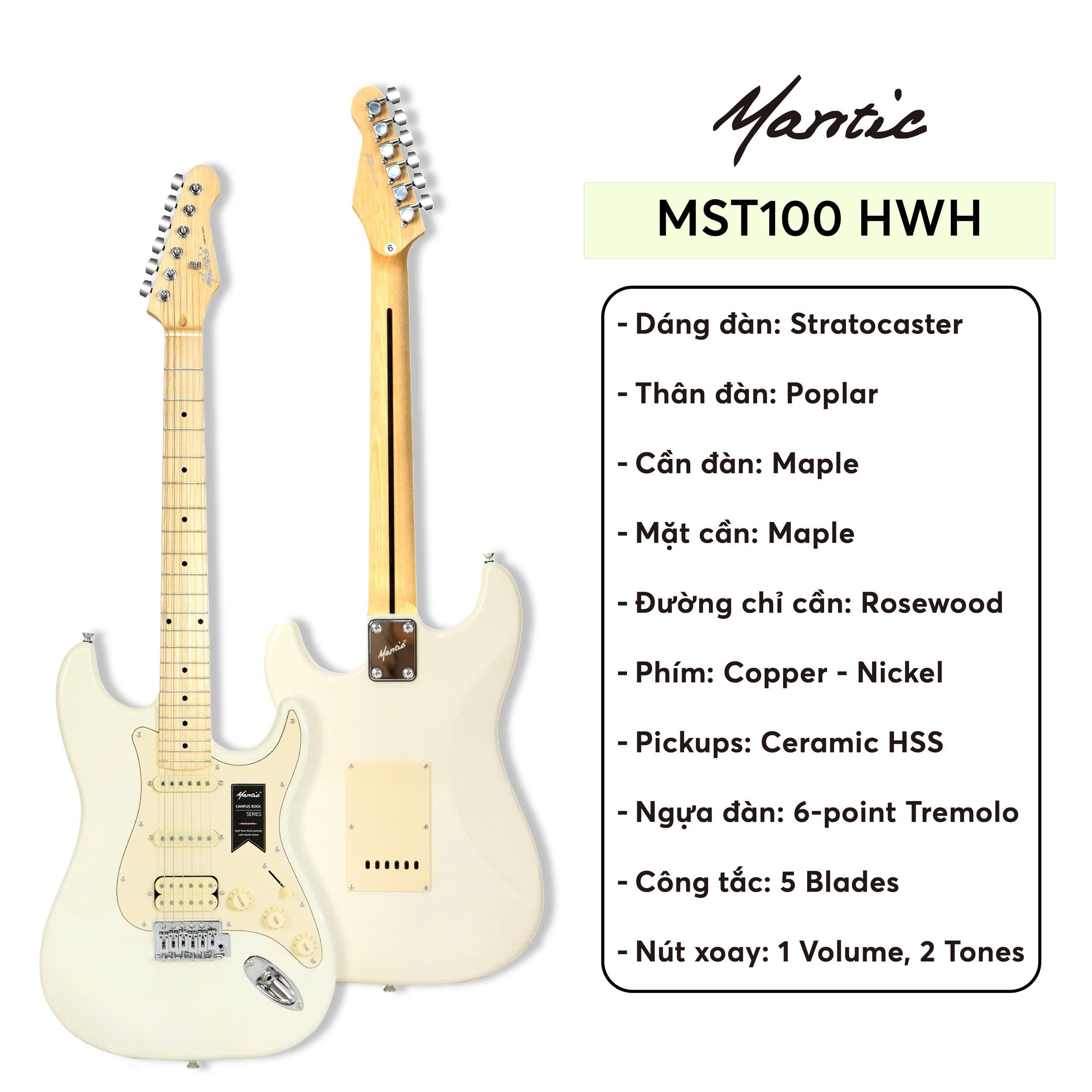 MST100 HWH